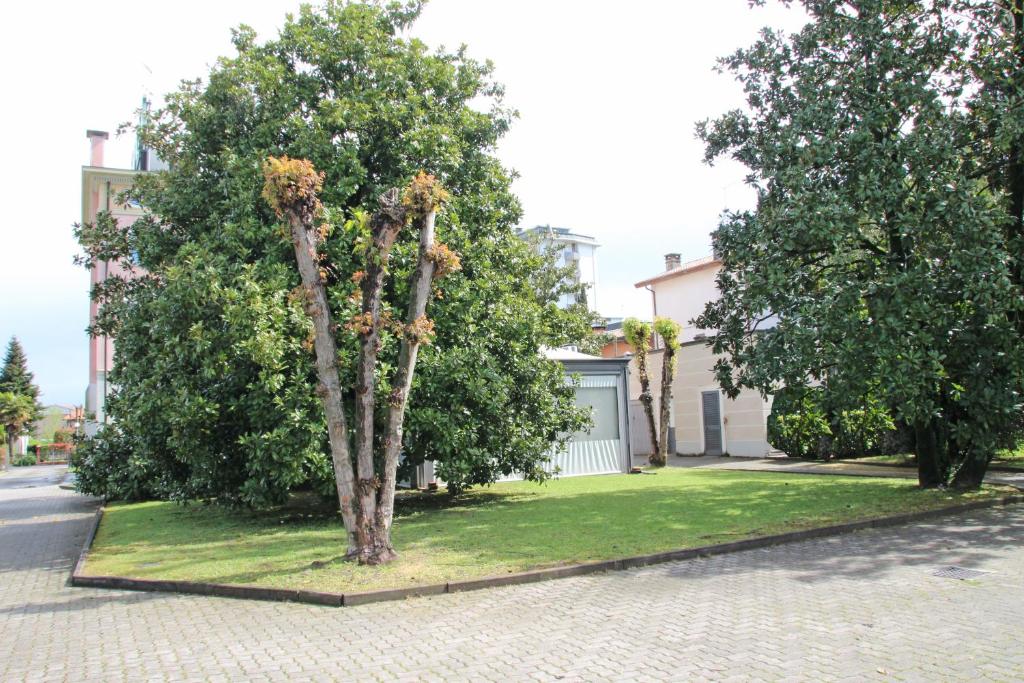 Zahrada ubytování Park Hotel Villa Leon d'Oro