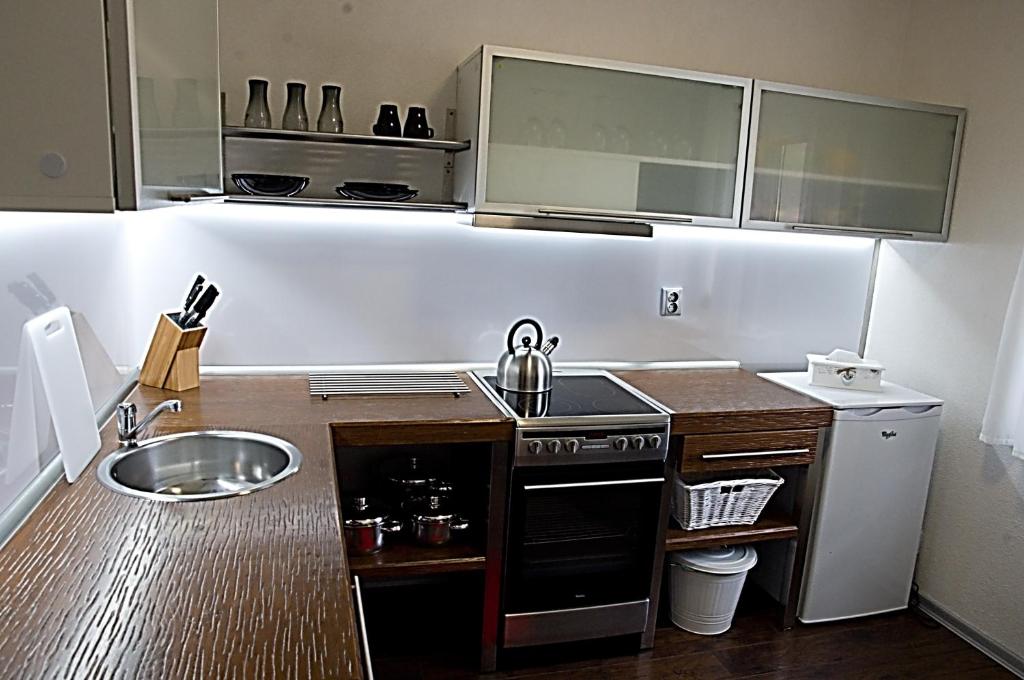 Kuchyň nebo kuchyňský kout v ubytování Apartments Centrum