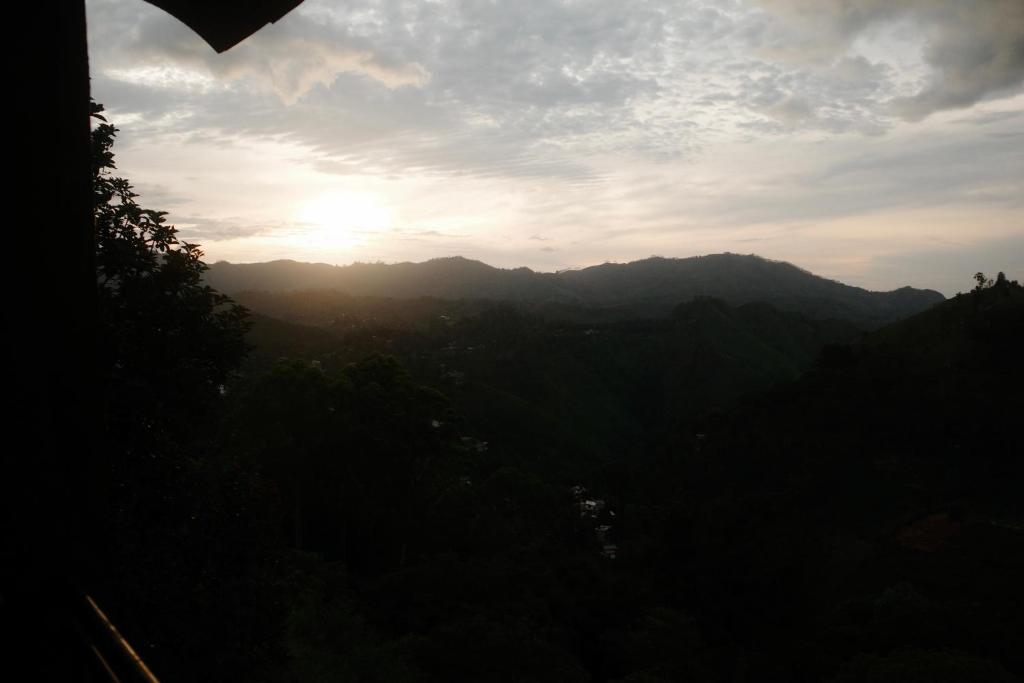 Will Guest Homestay - 7