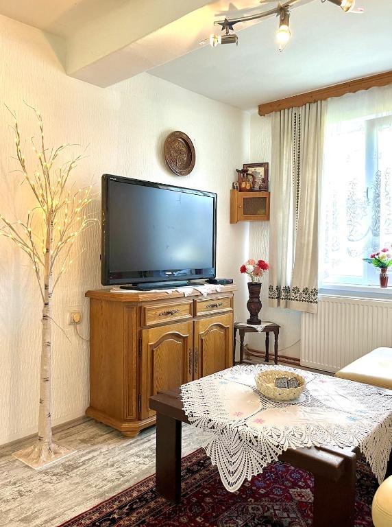 TV a/nebo společenská místnost v ubytování Green Village Life