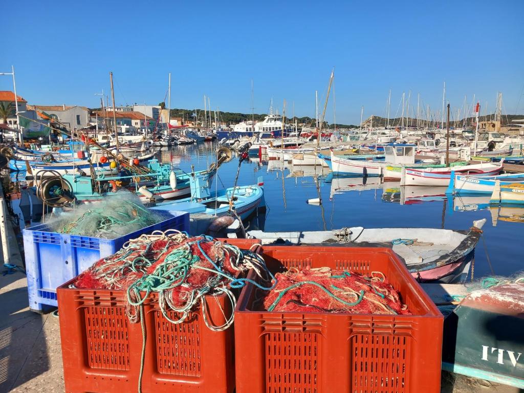 un groupe de bateaux amarrés dans un port de plaisance dans l'établissement Le Paradis c'est ici, à Six-Fours-les-Plages