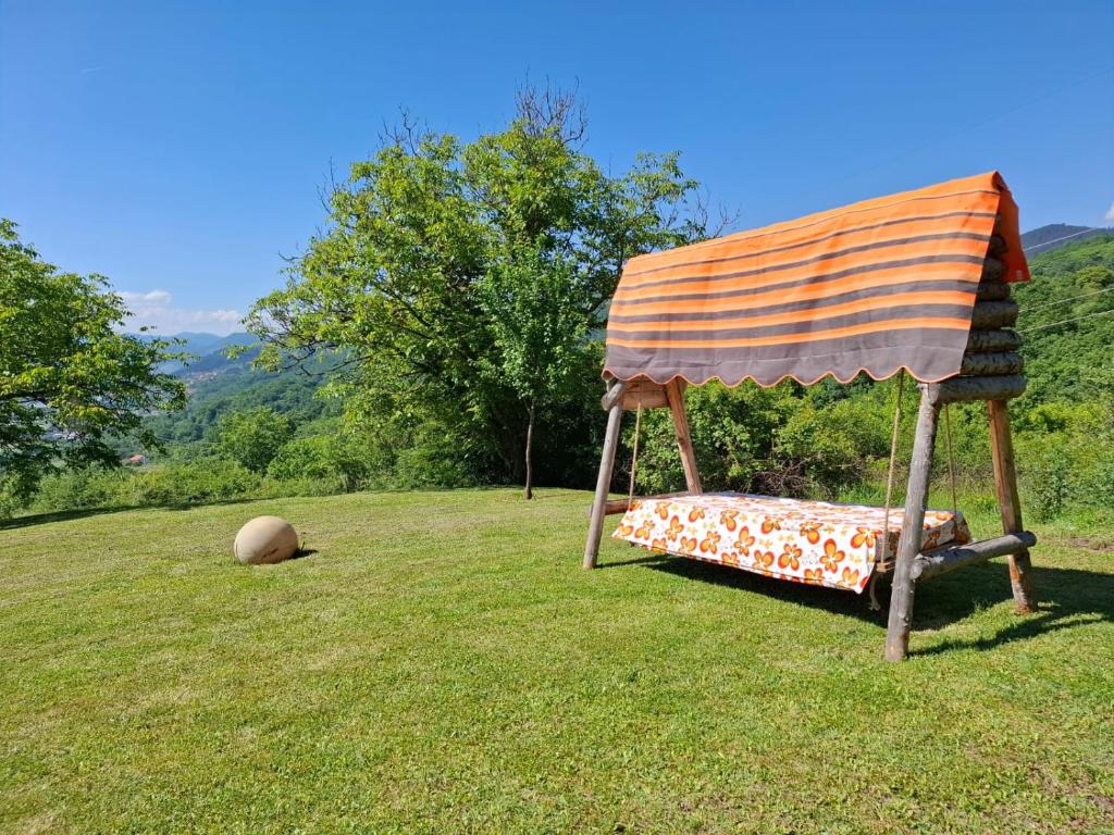 Priroda u blizini apartmana
