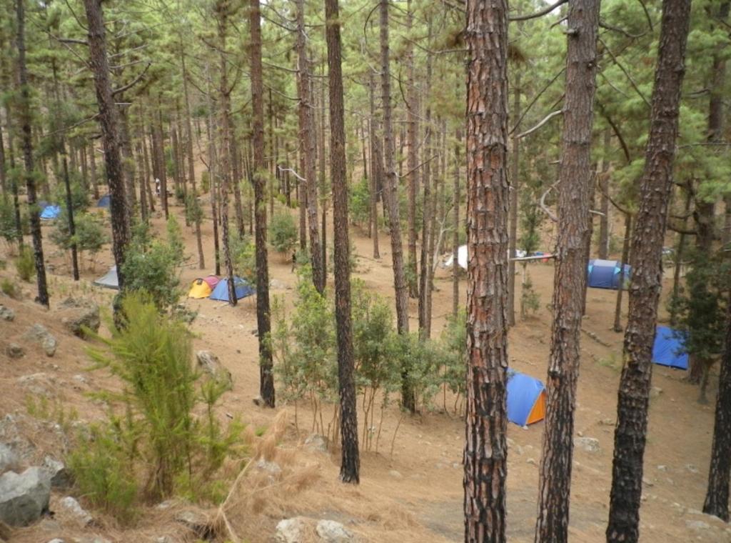 Příroda nedaleko luxury tent