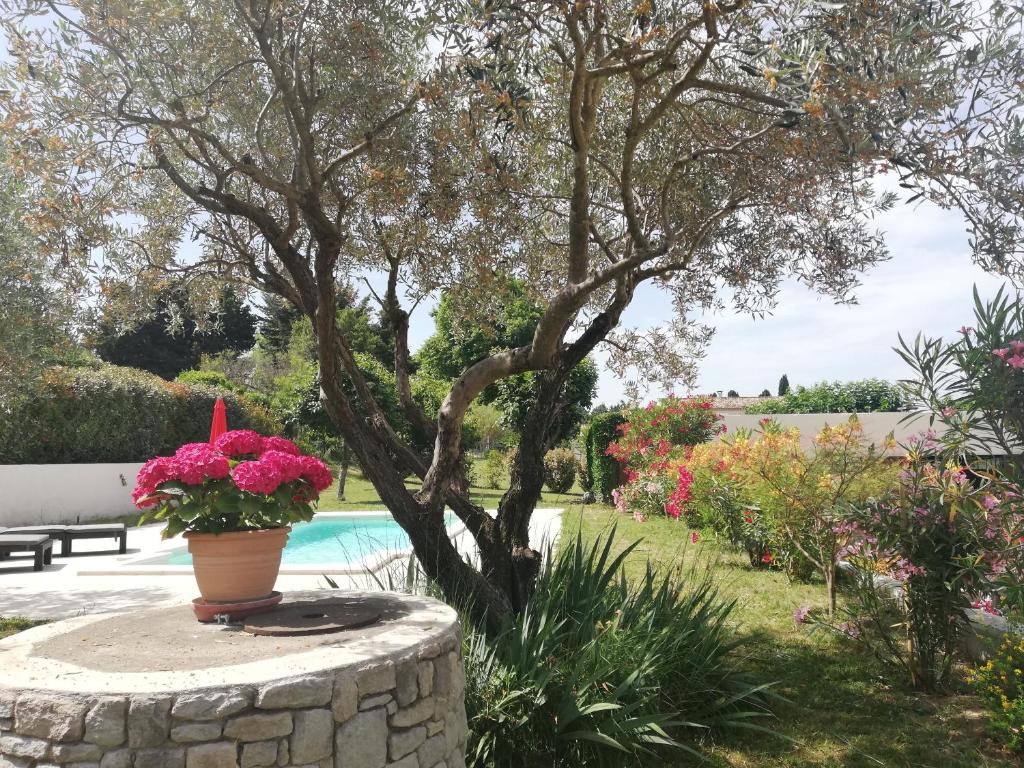 Κήπος έξω από το Sophie et Jamiel