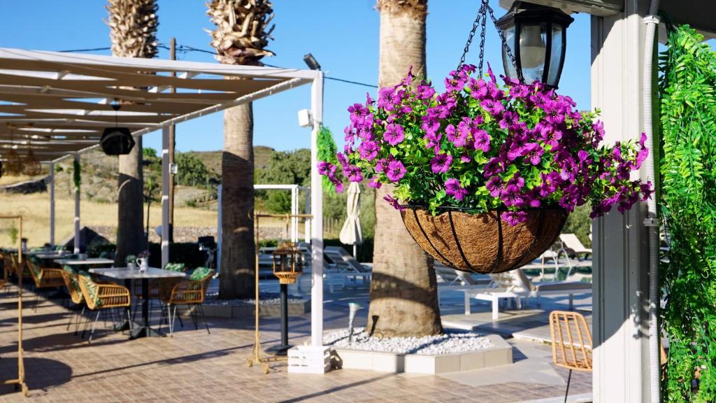 Zahrada ubytování Hotel Marilena