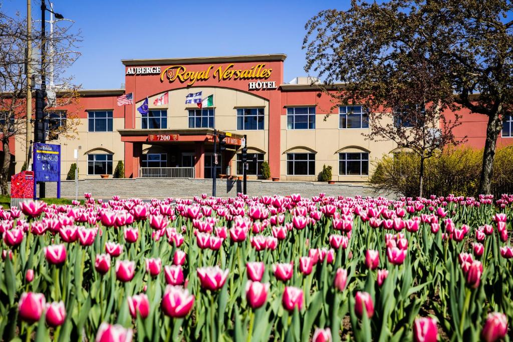 Auberge Royal Versailles - Resim 3