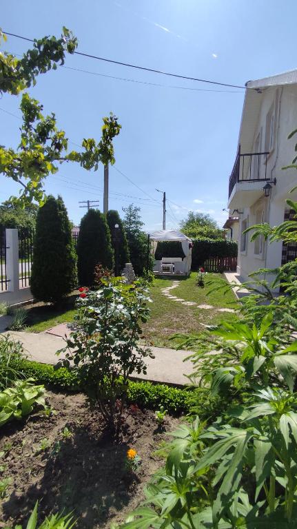 a van parked in a yard next to a building at Casa Silvia - Corbu in Corbu