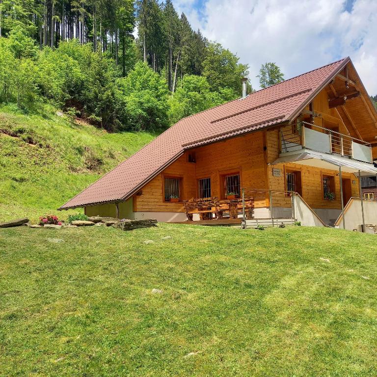 Příroda nedaleko apartmánu