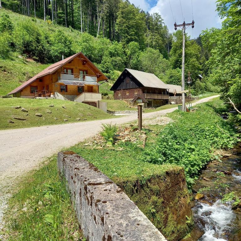 Příroda nedaleko apartmánu
