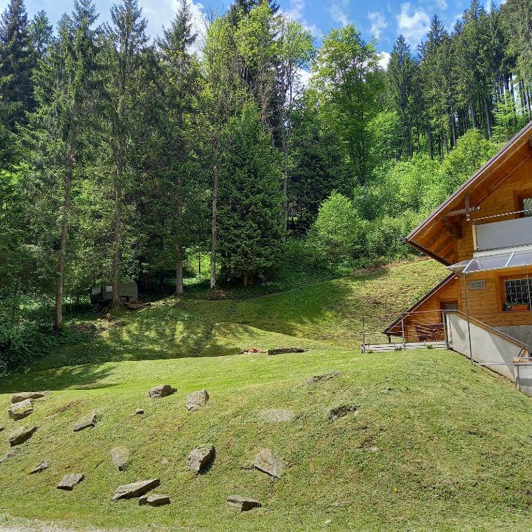 Příroda nedaleko apartmánu