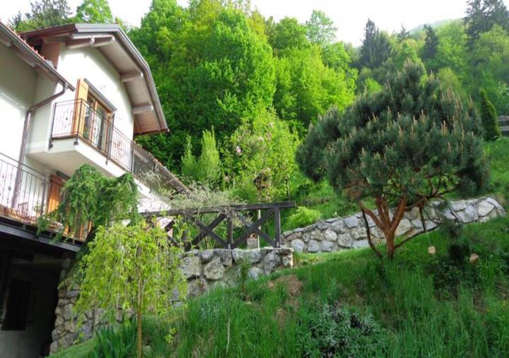Zahrada ubytování Turistična kmetija Weiss