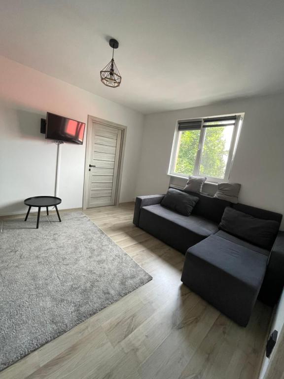 a living room with a black couch and a rug at Apartament cu 2 camere in Târgu-Mureş