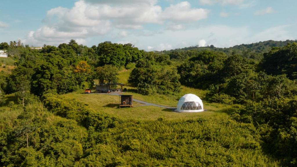 Příroda nedaleko luxury tent