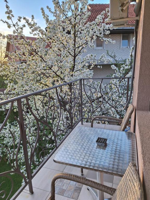 Balkón alebo terasa v ubytovaní Guest House Dimitrije