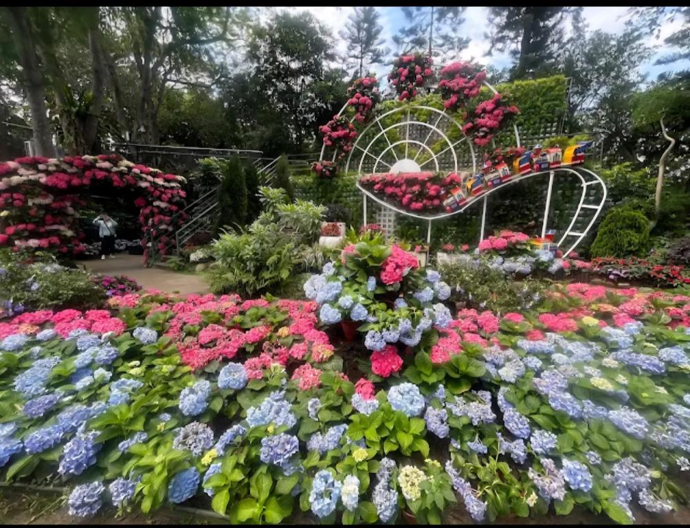 a garden with flowers and a ferris wheel at Miaoli Sanyi Bo Wu Guan Homestay in Sanyi