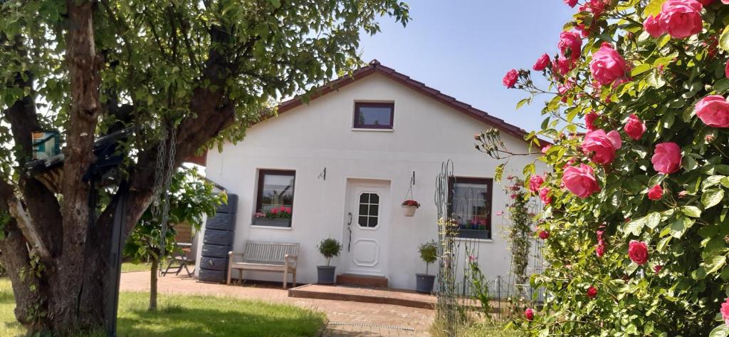 a white house with a bench and pink roses at Kleines Ferienhaus Heyne in Rerik