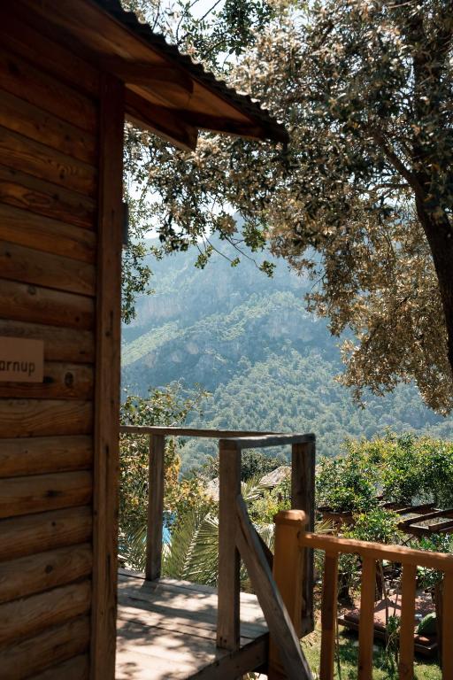 Olive Garden Kabak - 2