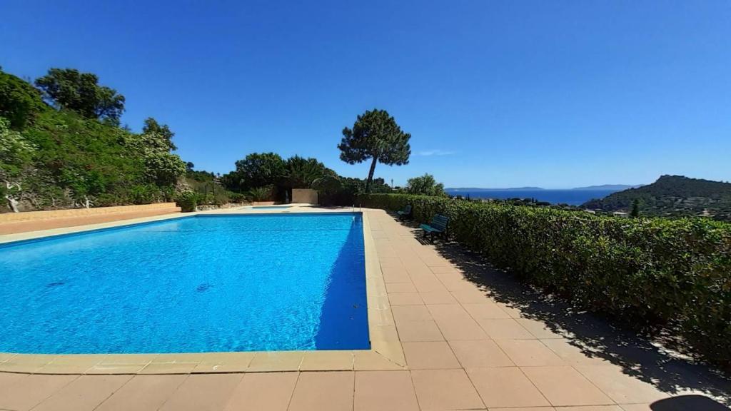 une piscine bleue à côté d'une haie dans l'établissement Le mazet de Sophia, au Lavandou