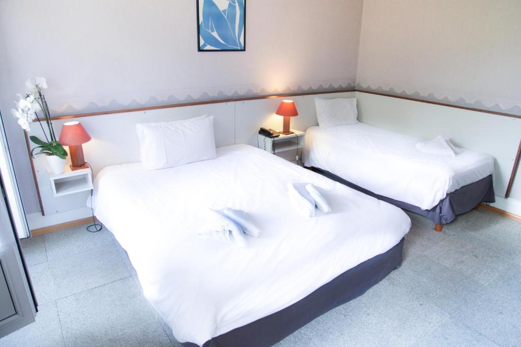 Postel nebo postele na pokoji v ubytování Hôtel De Bale
