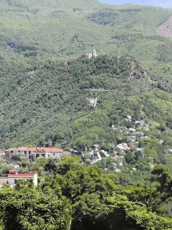 Příroda nedaleko apartmánu