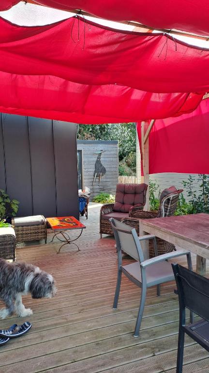 un chien allongé sur le sol sous une tente rouge dans l'établissement Park Mézévéno, à Trévou-Tréguignec
