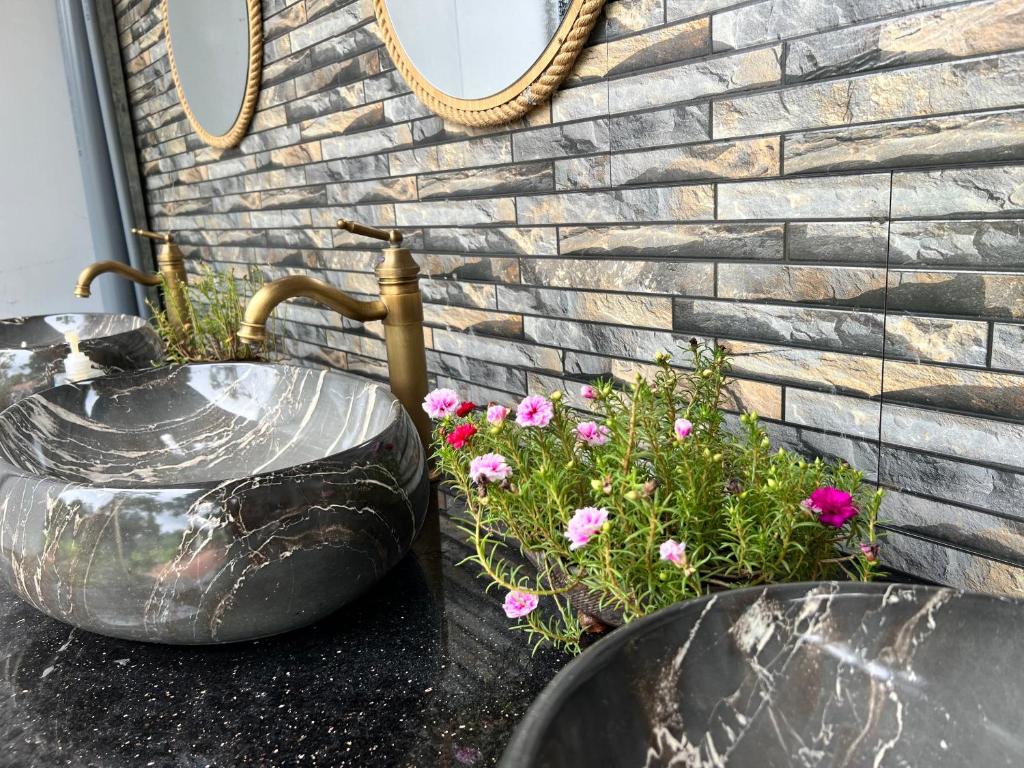 Forest Sunset hostel - 9