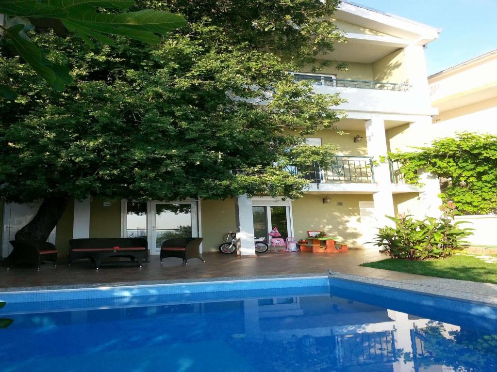 a house with a tree and a swimming pool at Apartment Sofia in Sutomore