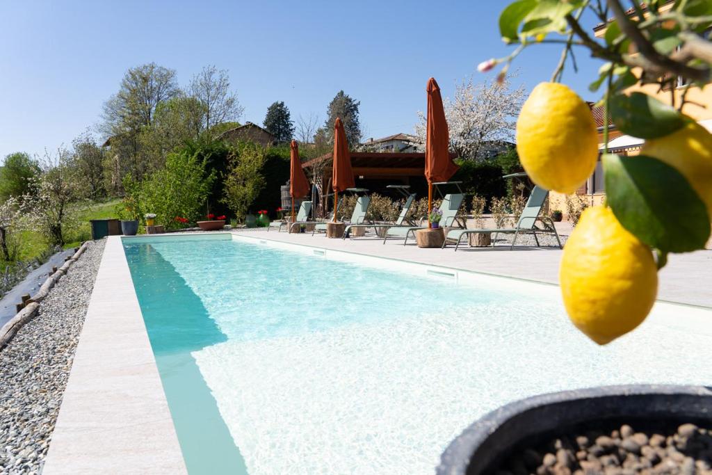 Sorriso Dei Maestri