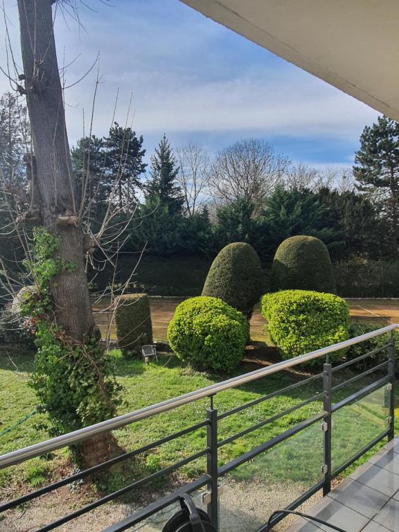 un groupe de buissons assis à côté d'une clôture dans l'établissement Paris sur une Ile, à Bougival