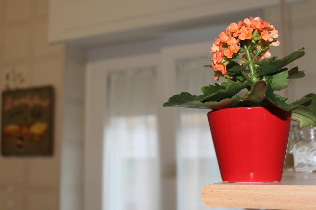 La Casetta al 21 - 14