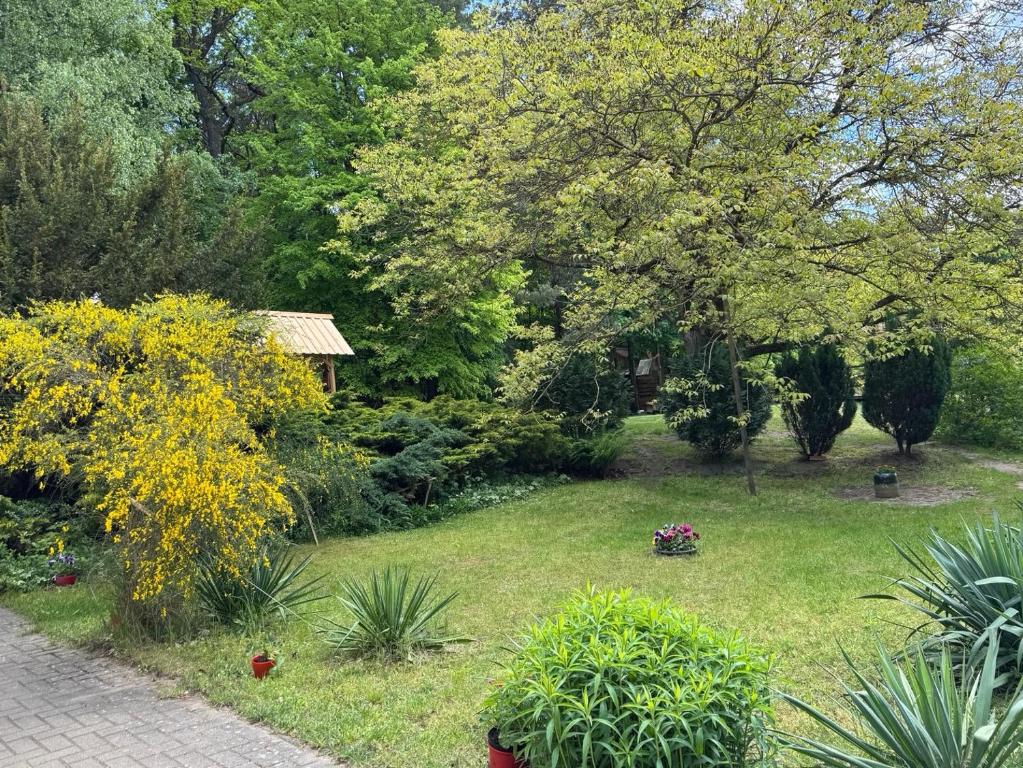 Agroturystyka Staroscin - 5