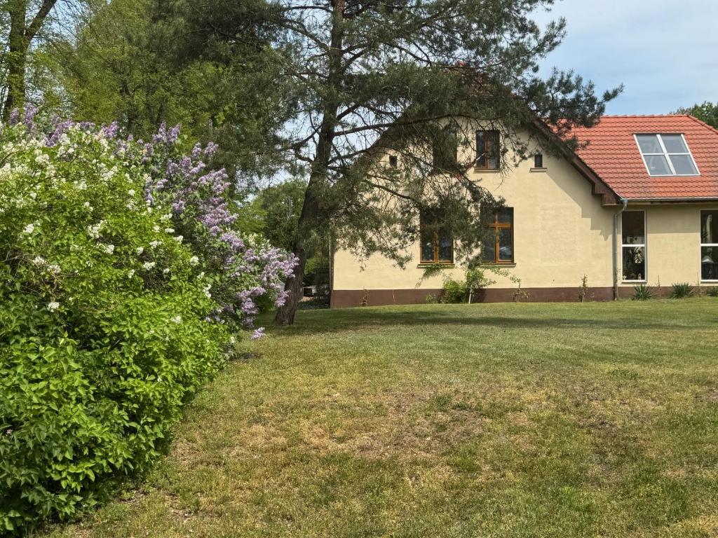 Agroturystyka Staroscin - 4