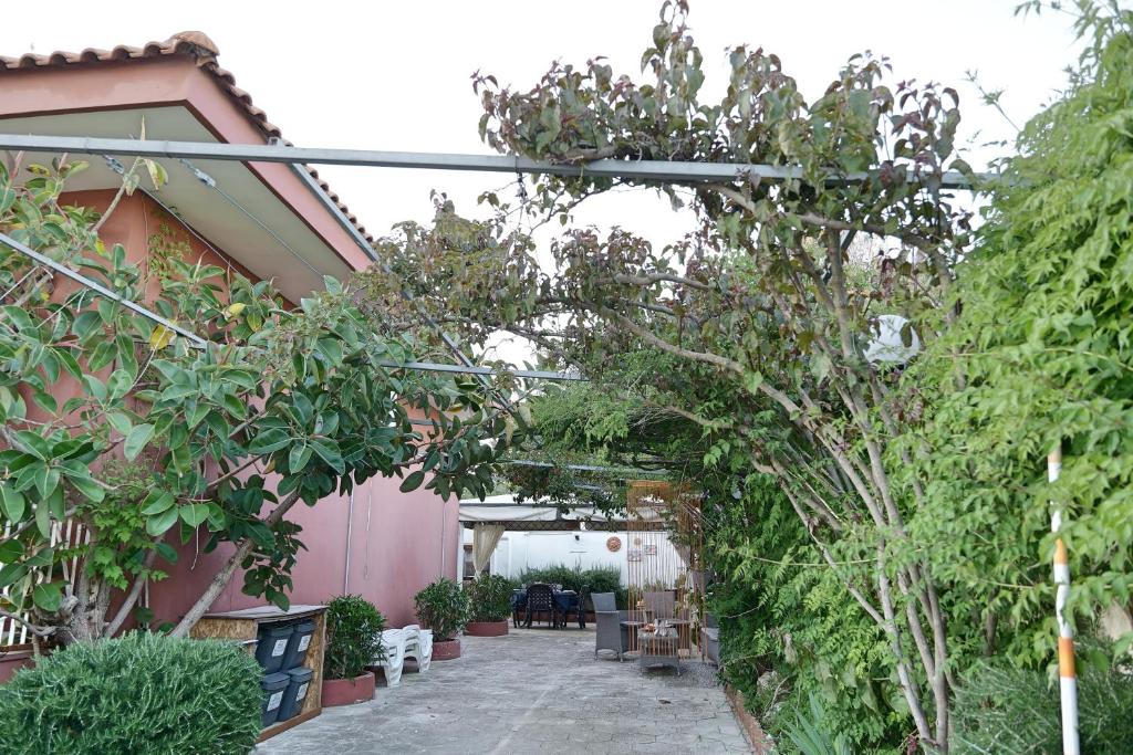 A garden outside Depandance in Villa Gisella