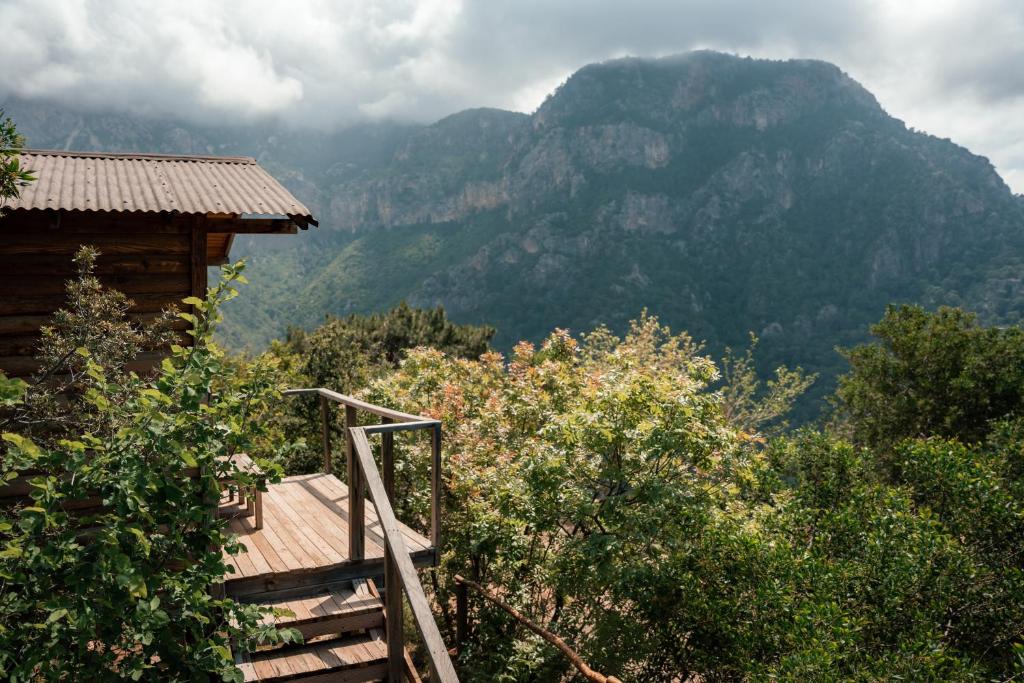 Olive Garden Kabak - 10