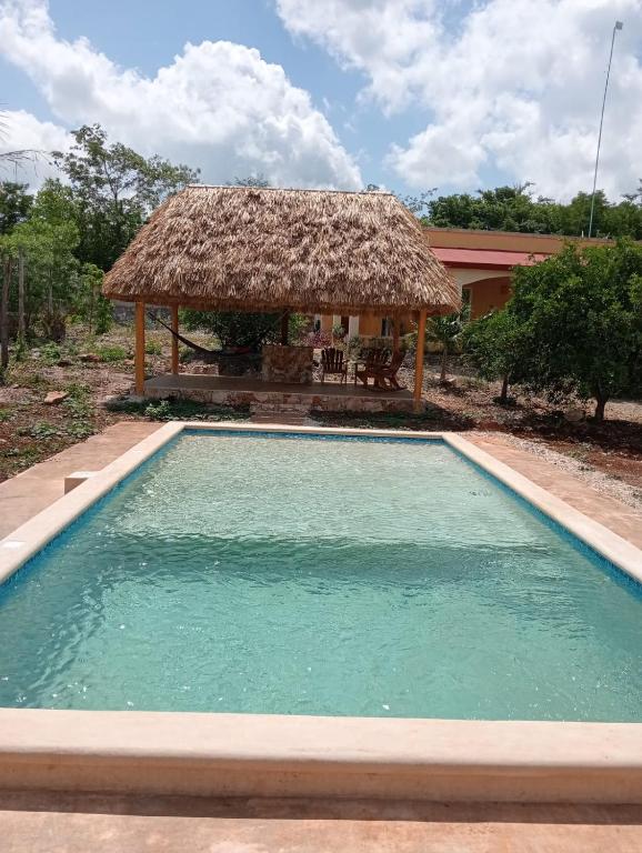 a swimming pool in front of a thatch hut at Rancho Camote - Frida 1 bedroom in Chichimilá