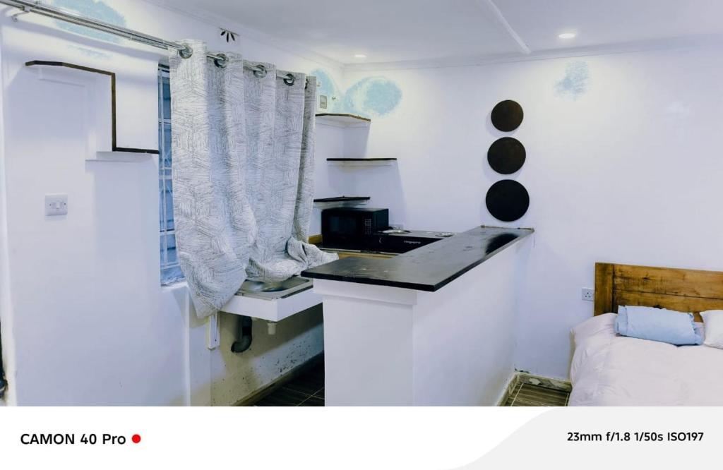 Kuchyň nebo kuchyňský kout v ubytování Perfect Accomodation Studios