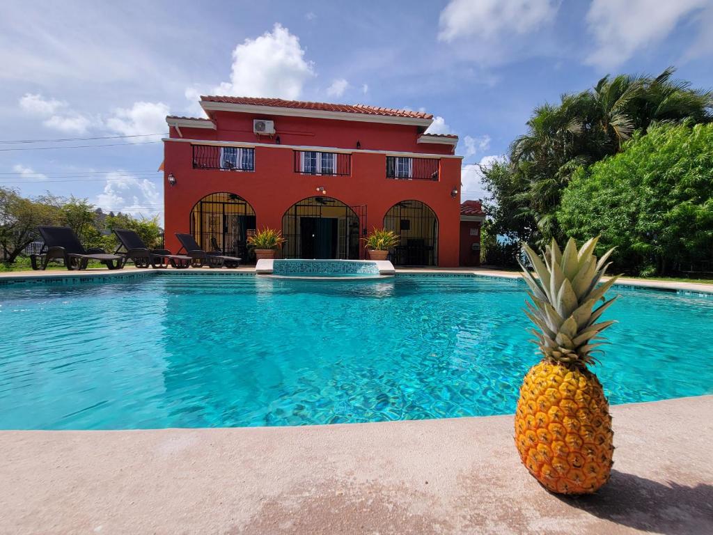Swimmingpoolen hos eller tæt på Casa Rojas Villa