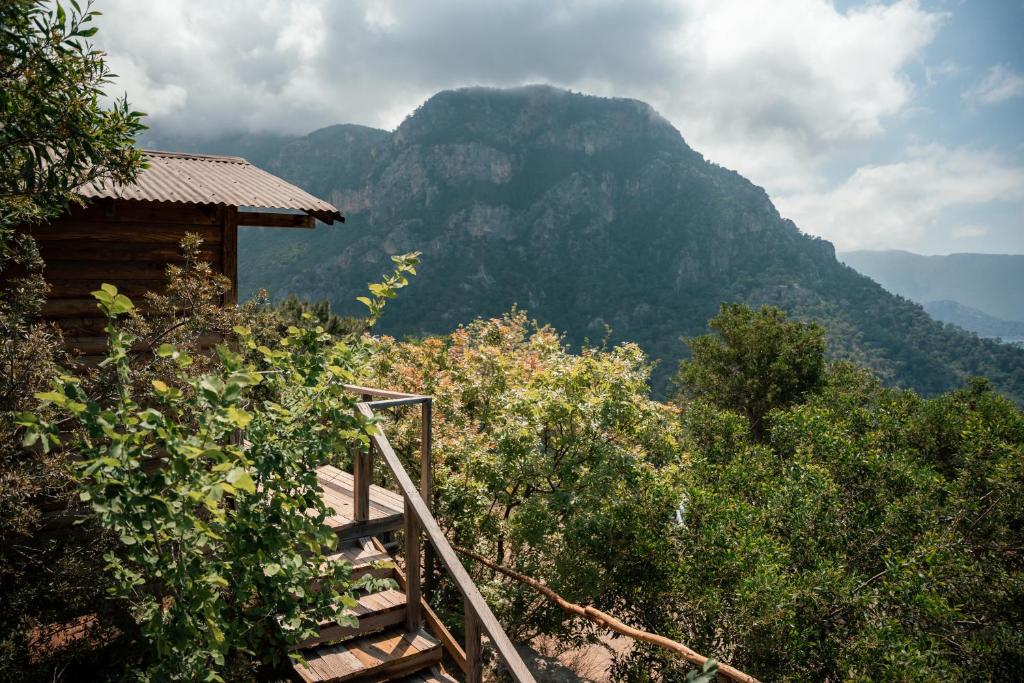 Olive Garden Kabak - 16