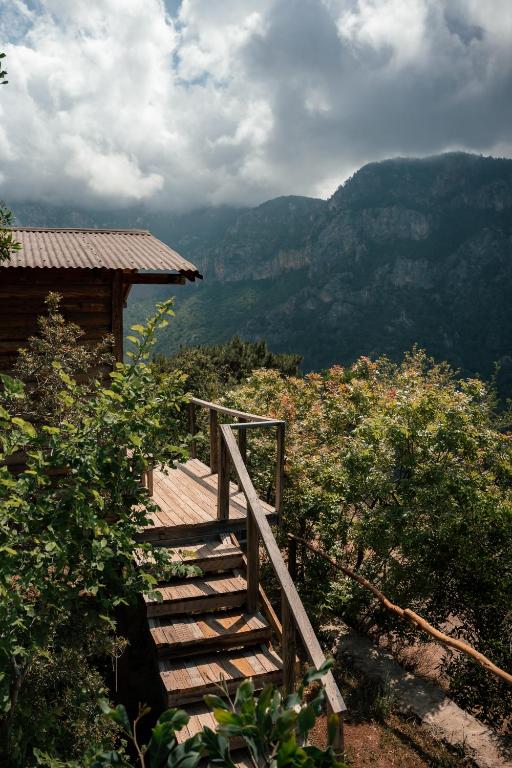 Olive Garden Kabak - 17