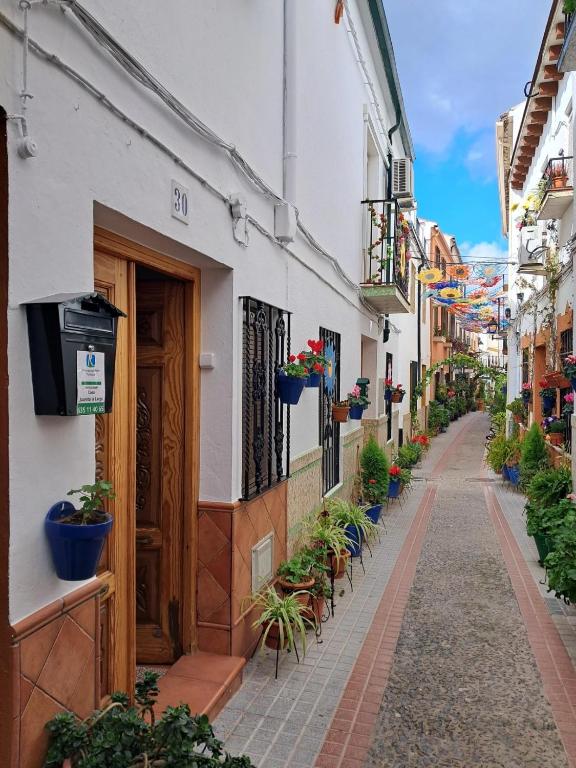 an alley with potted plants on the side of a building at Juanita La Larga in Doña Mencía