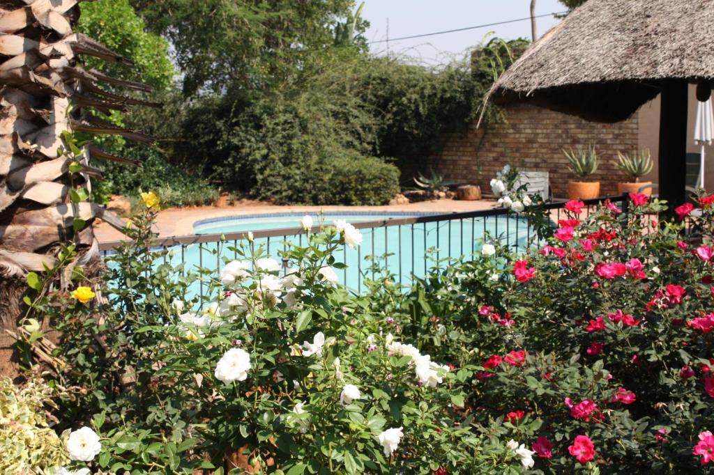 a garden with flowers and a swimming pool at Lerato Bush Lodge in Pretoria