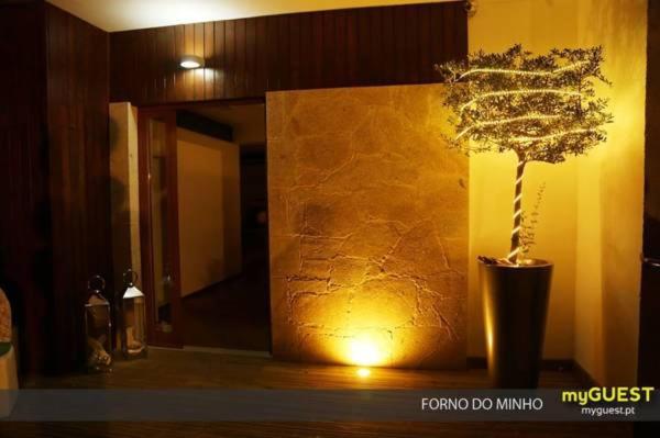 a plant in a vase next to a wall at Alojamento do Minho in Paredes de Coura