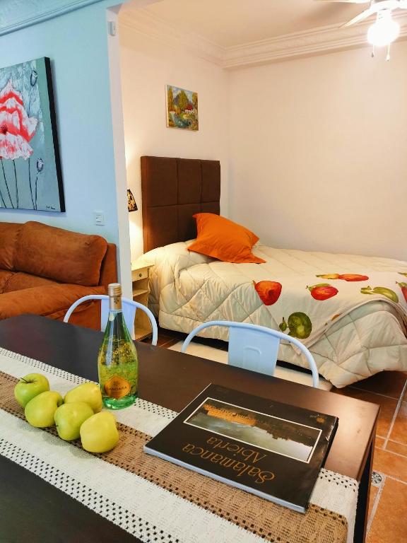 a living room with a bed and a table with a book at Estudio El Santo 2 in Salamanca