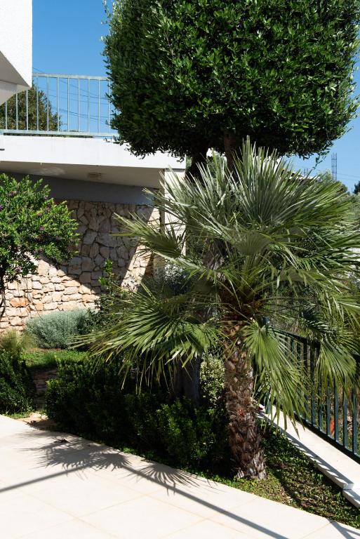 Zahrada ubytování Villa Mirjana