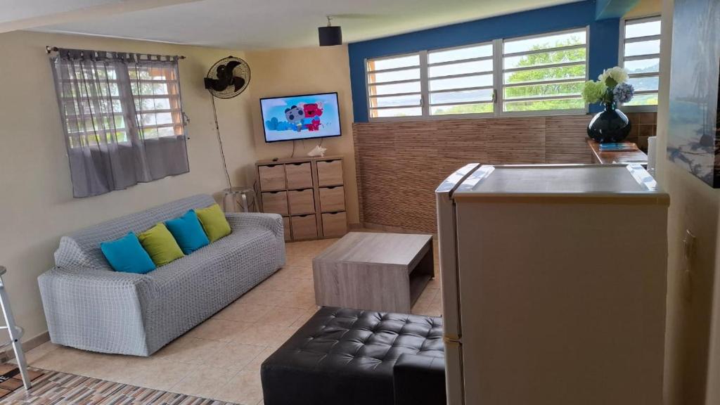 TV a/nebo společenská místnost v ubytování Villa verte
