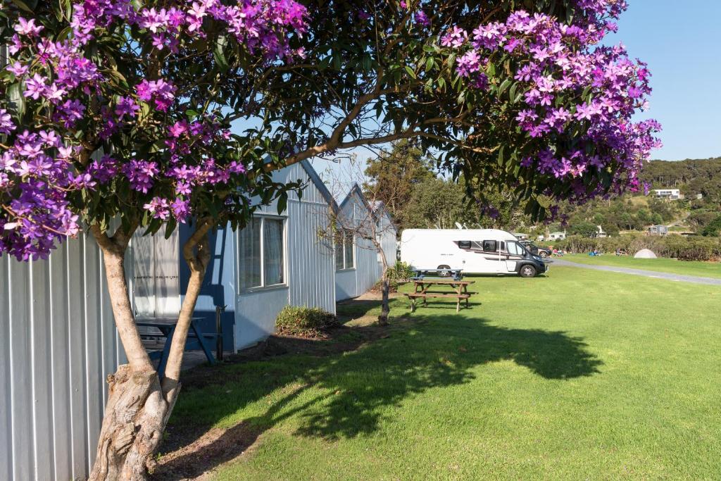 een boom met paarse bloemen naast een huis bij Waitangi Holiday Park in Paihia