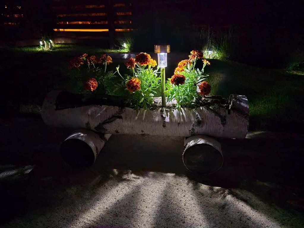Fotografia z galérie ubytovania Kuća za odmor Paćan v destinácii Klanac