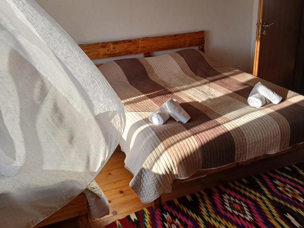 Φωτογραφία από το άλμπουμ του Bujtina Tusha στα Τίρανα