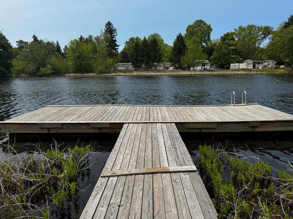un quai en bois au milieu d'un lac dans l'établissement The Timber Nest Goshorn lake dock pool town, à Saugatuck