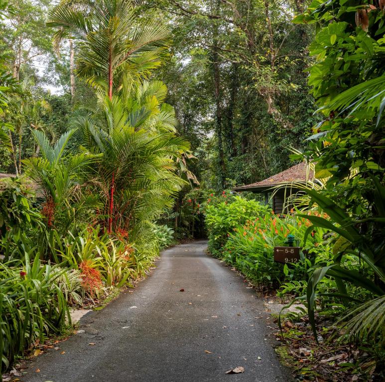 Zahrada ubytování Heritage Lodge - in the Daintree